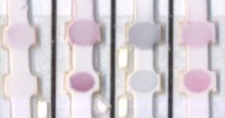 Paper test that can be read out by eye shows how a COVID-19 test would work, where different strips result in different colored patterns 