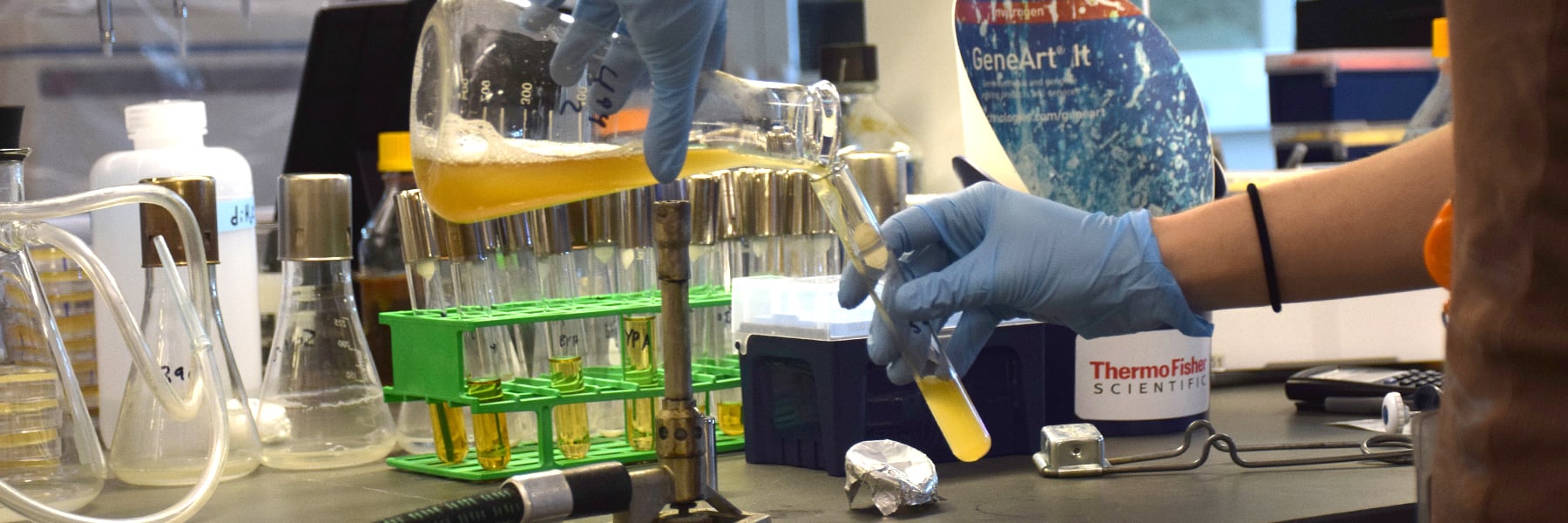 Close up of gloved hands pouring chemicals in test tubes.