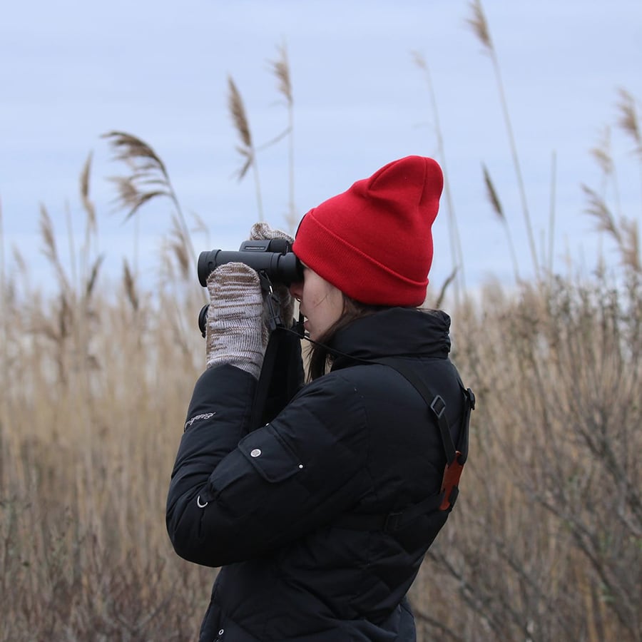 student in field on Nantucket looks through binnoculars